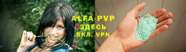 прущие грибы Абинск