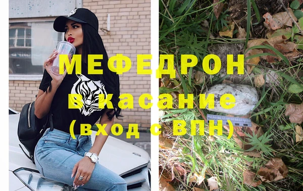 прущие грибы Абинск