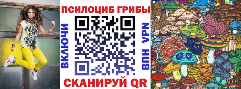 Галлюциногенные грибы Psilocybe Абдулино